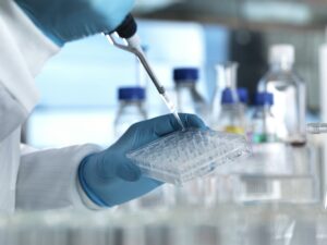 Scientist pipetting a DNA sample into a multi well plate ready for genetic testing in a laboratory